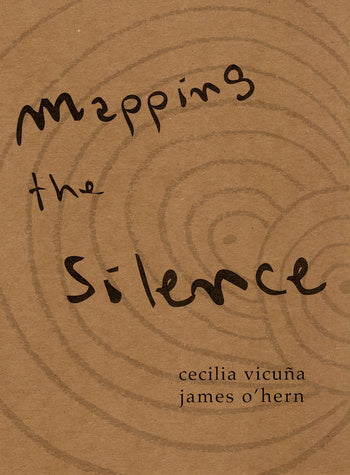 Mapping the Silence