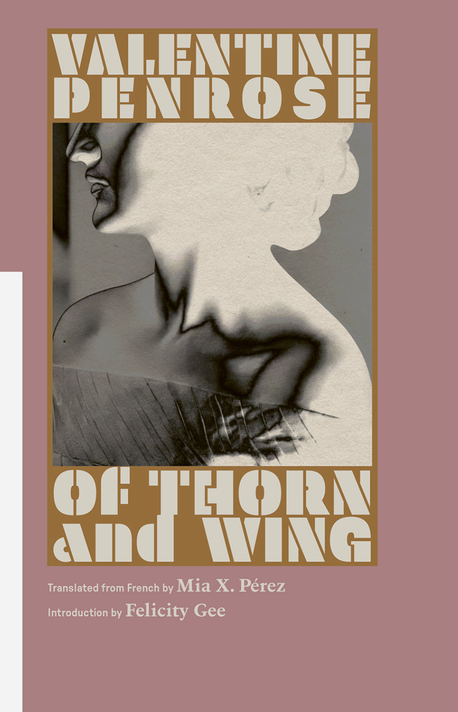 Of Thorn and Wing