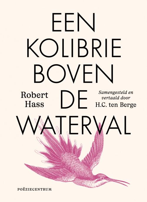Een kolibrie boven de waterval