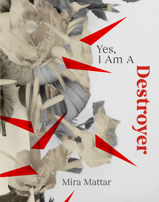 Yes, I Am A Destroyer